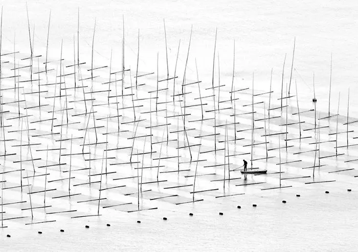 Farming The Sea, China
