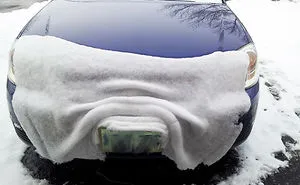 95 Perfect Pics That Will Satisfy Every Perfectionist’s Soul (Part 3)