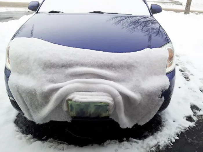 Snow On My Friends Hood, Sliding Off Like A Blanket