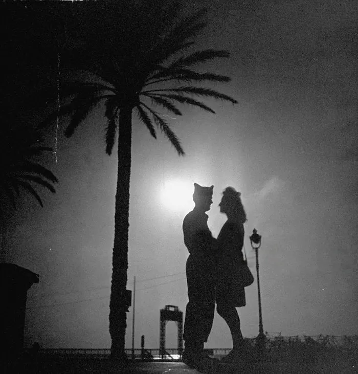 Silhouette of a couple in wartime romance under a palm tree, backlit by the moon.