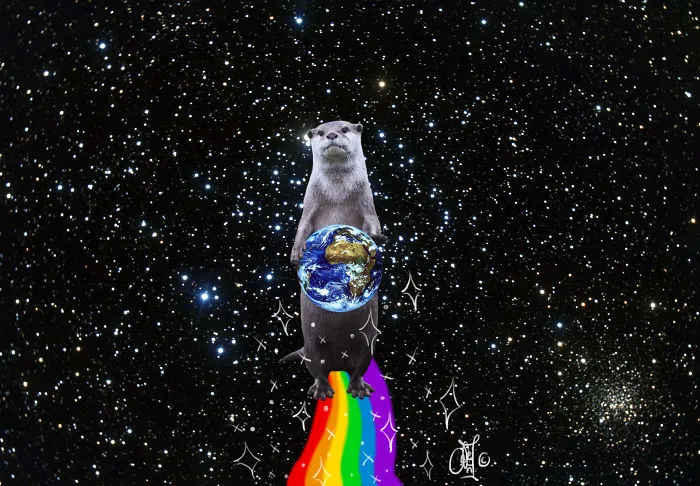 Nyan-otter By Genmaycha / Y0k0z