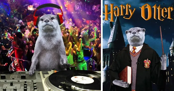 Photoshop This Otter Where It Really Belongs