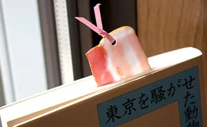 Realistic Food Bookmarks From Japan