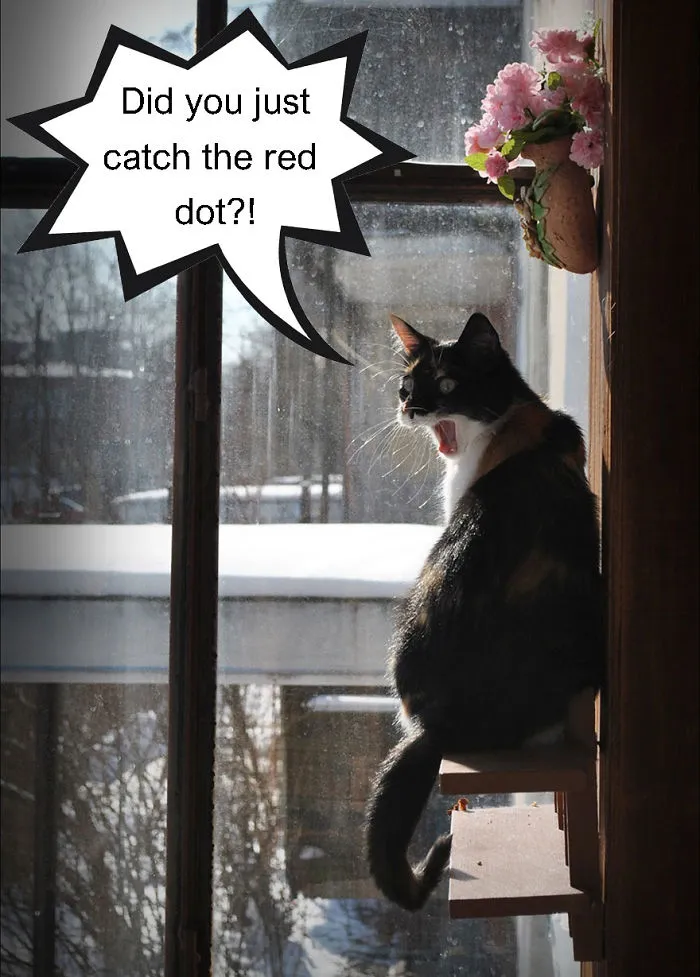 Meanwhile In The Neighbourhood...