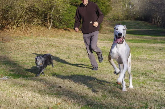 Rushmore And Leeloo Loved To Run At The Park