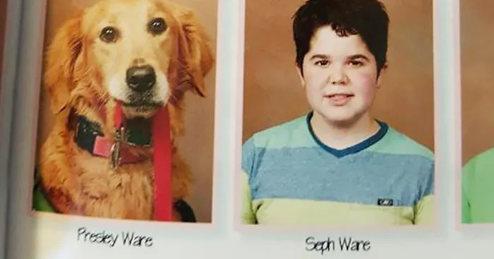 School Yearbook Includes Loyal Service Dog Next To Her Boy Who Has Muscular Dystrophy