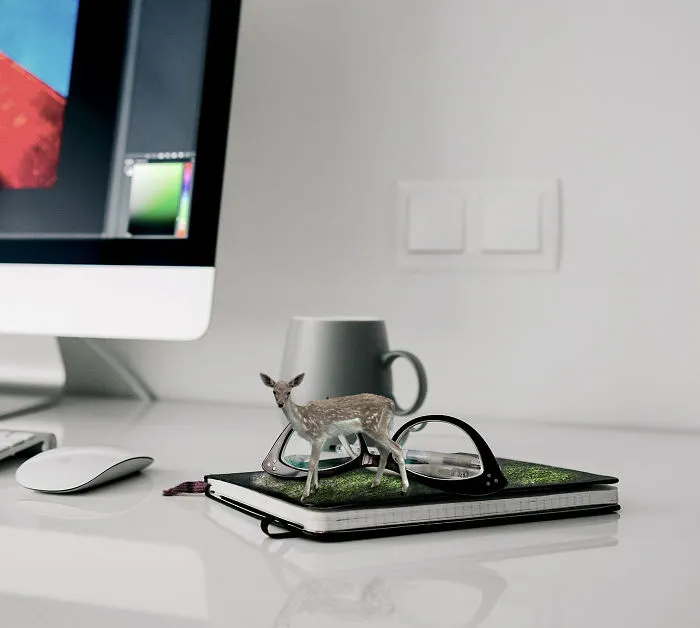 Doe On The Table