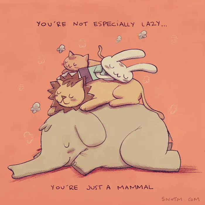 Stuff No One Told Me (56 Pics)
