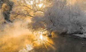 I Captured Frosty Winter In Belarus