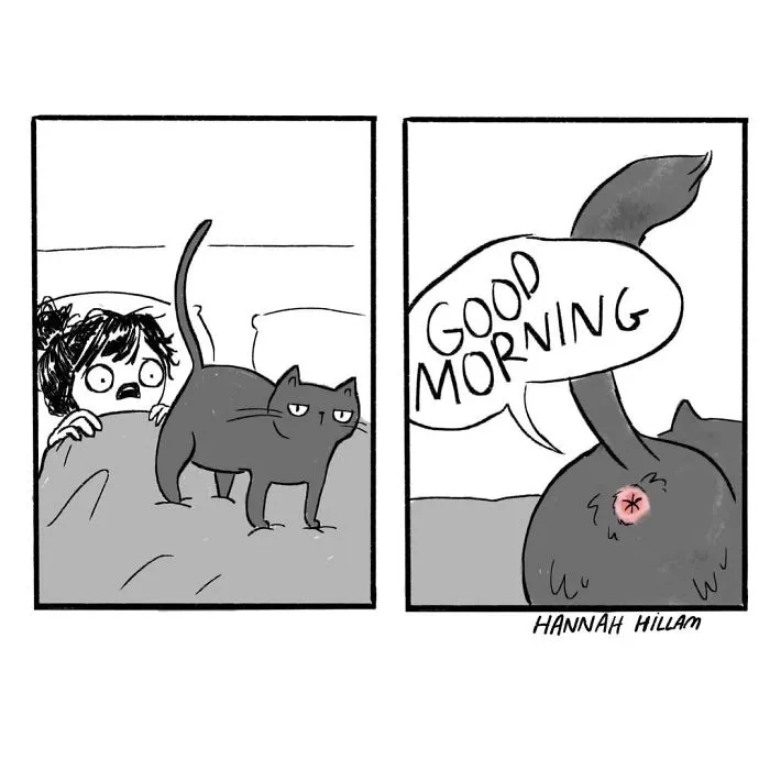 Artist Illustrates What It's Like To Live With Cats (35 Pics)