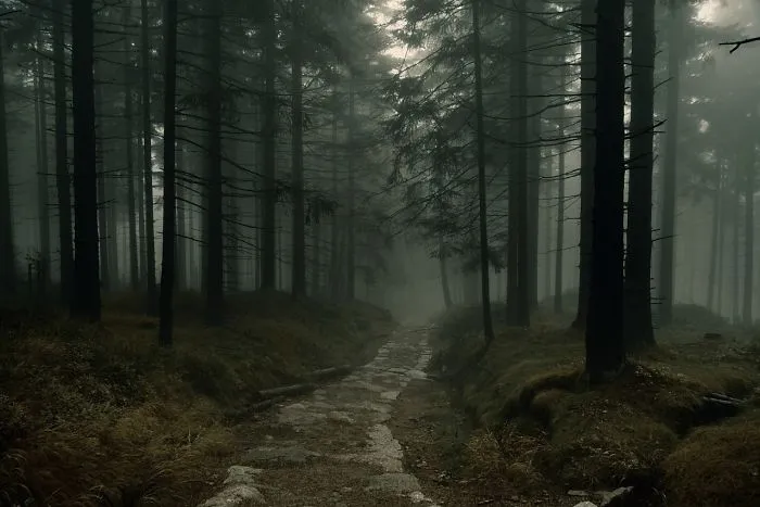 Forest