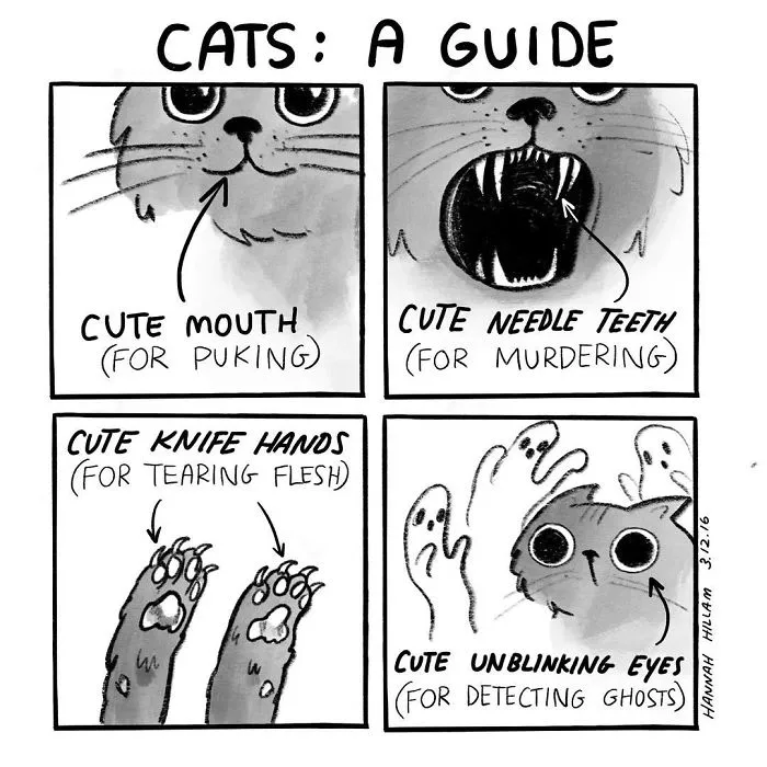 Artist Illustrates What It's Like To Live With Cats (35 Pics)