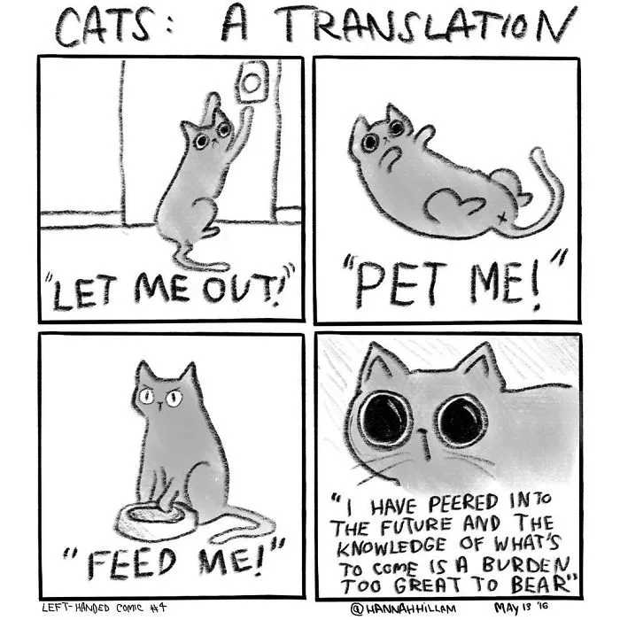 Artist Illustrates What It's Like To Live With Cats (35 Pics)