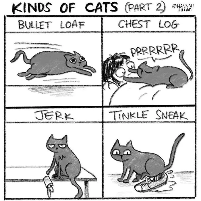 Artist Illustrates What It's Like To Live With Cats (35 Pics)