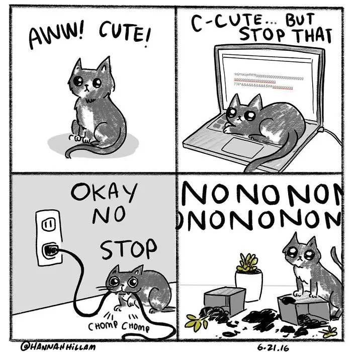 Artist Illustrates What It's Like To Live With Cats (35 Pics)