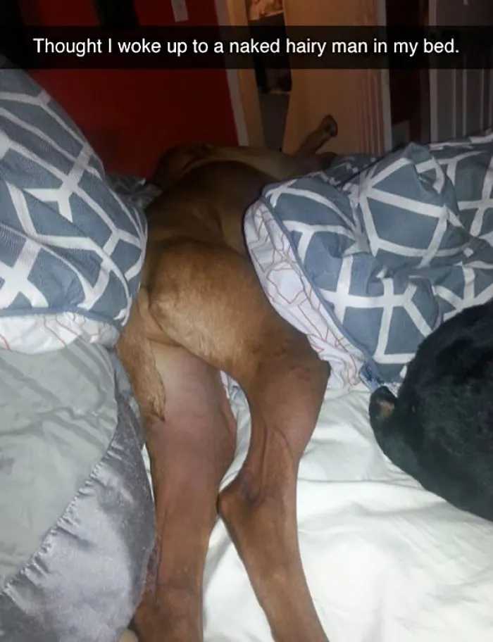 Thought I Woke Up To A Naked Hairy Man In My Bed