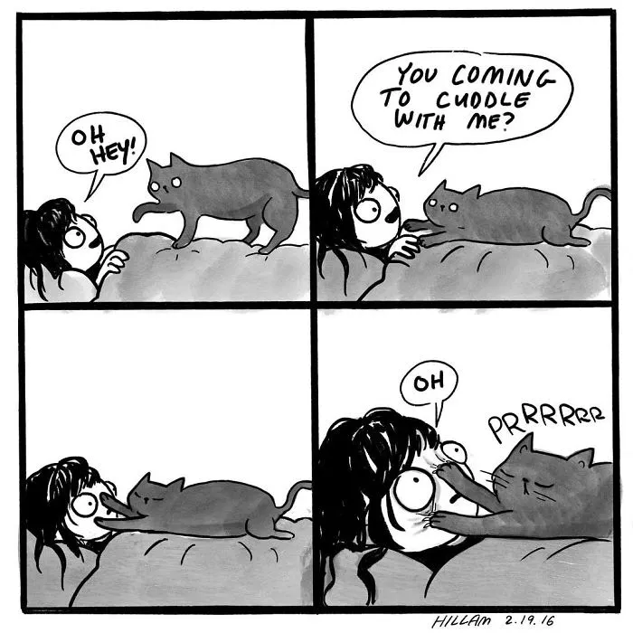 Artist Illustrates What It's Like To Live With Cats (35 Pics)