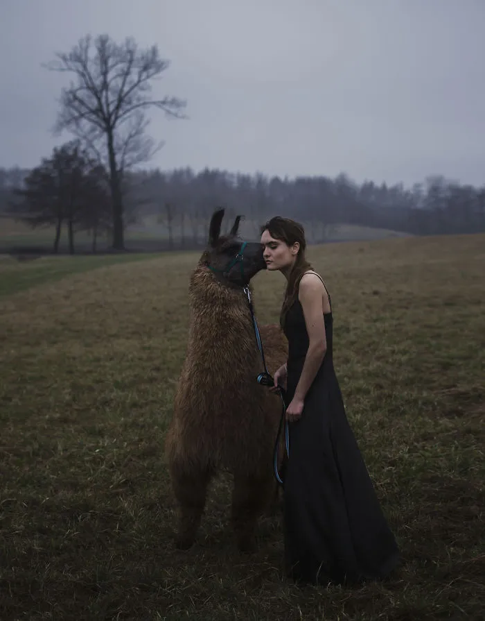My Photos Reflect On The Bond Between People And Animals