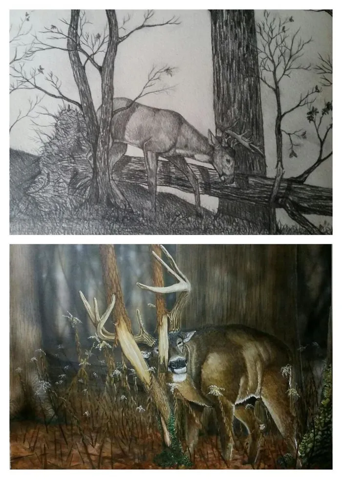1993 & 2016
