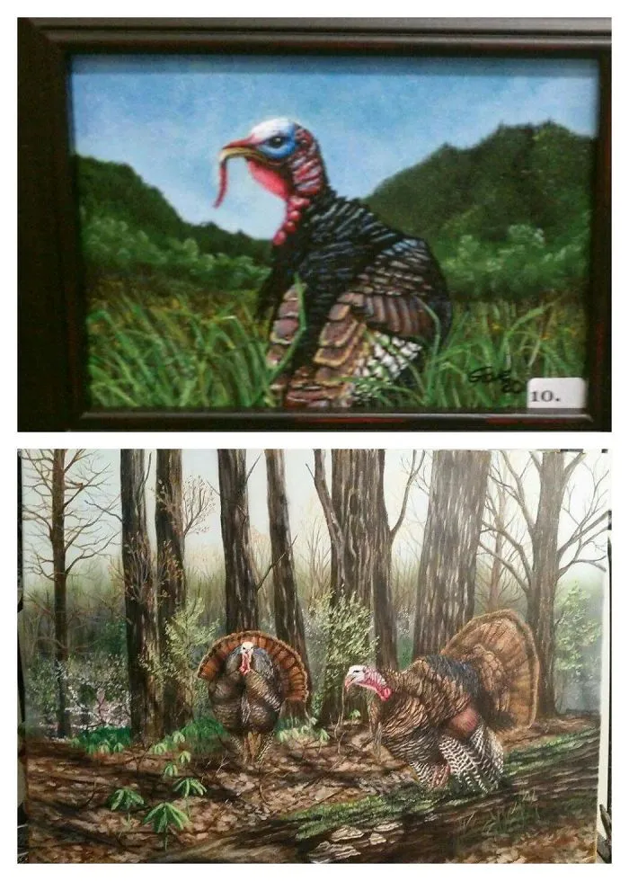 2011 & 2016