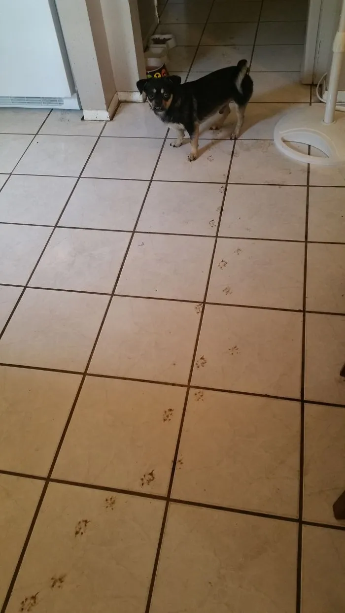 This Is Why I Never Mop.