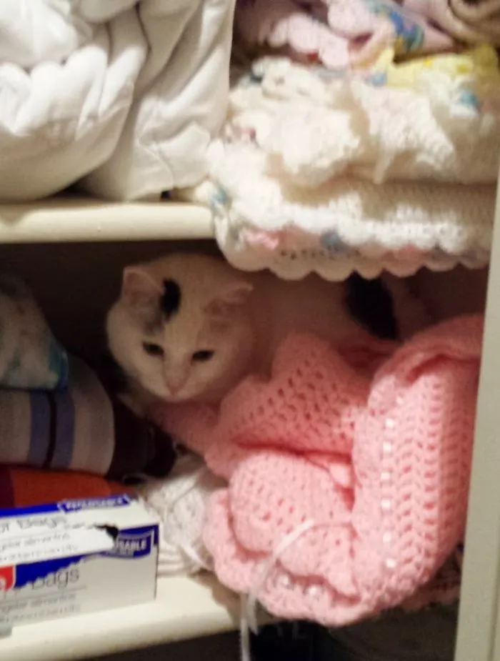 Closet Napper