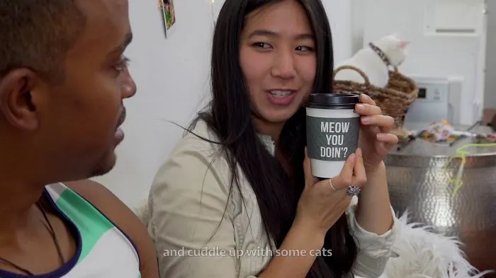 This Is What It's Like To Be Inside A Cat Cafe.