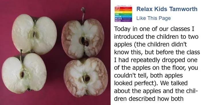 This Teacher Used Apples To Explain The Horrible Truth About Bullying