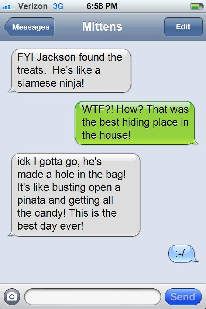 What If Cats Could Text? Woman Shares Conversations With Her 3 Rescued Cats