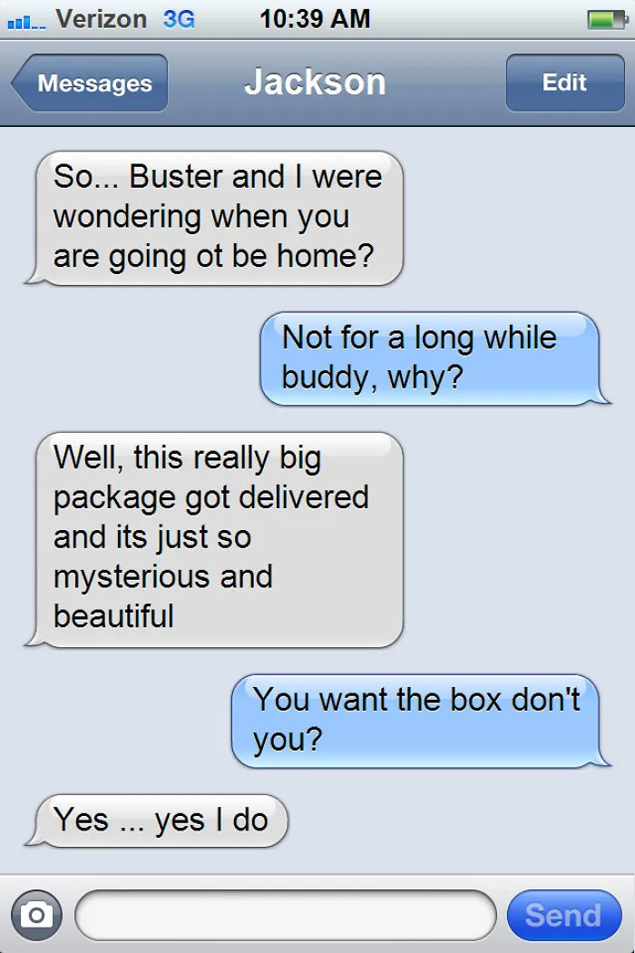 What If Cats Could Text? Woman Shares Conversations With Her 3 Rescued Cats