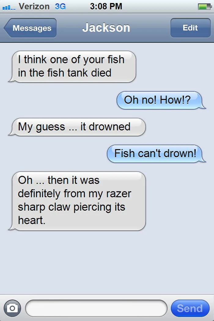 What If Cats Could Text? Woman Shares Conversations With Her 3 Rescued Cats