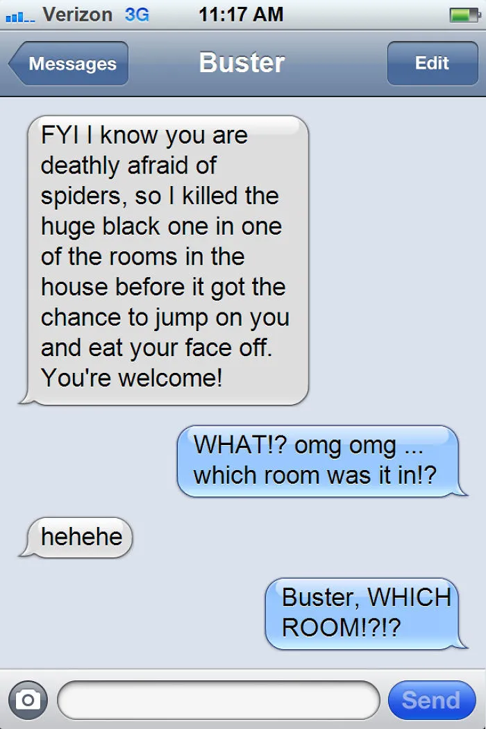 What If Cats Could Text? Woman Shares Conversations With Her 3 Rescued Cats