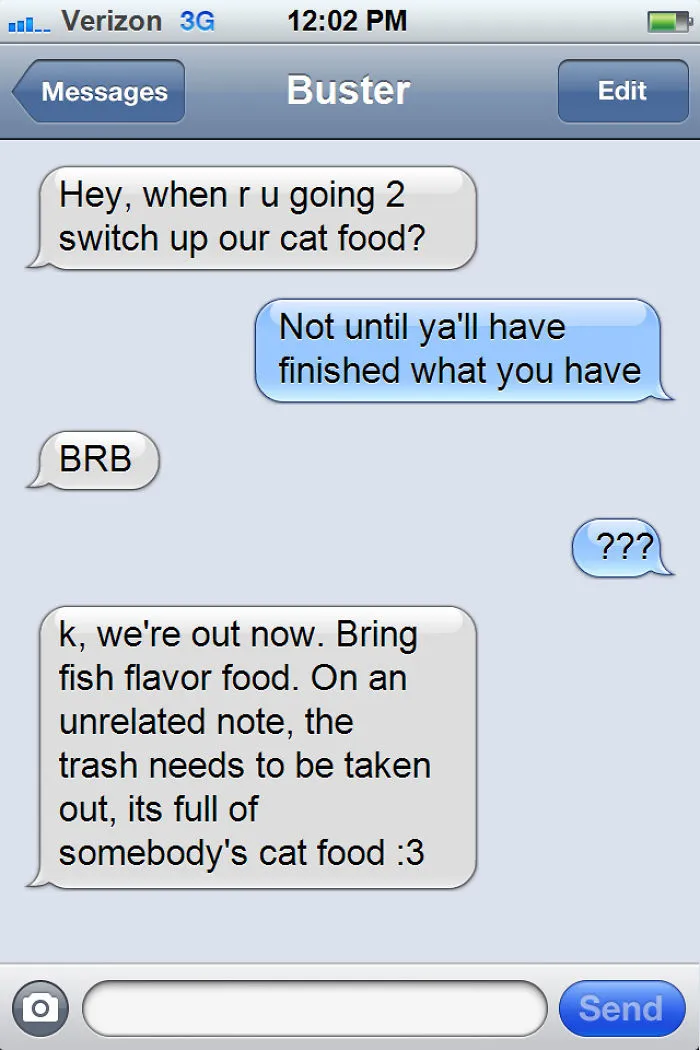 What If Cats Could Text? Woman Shares Conversations With Her 3 Rescued Cats