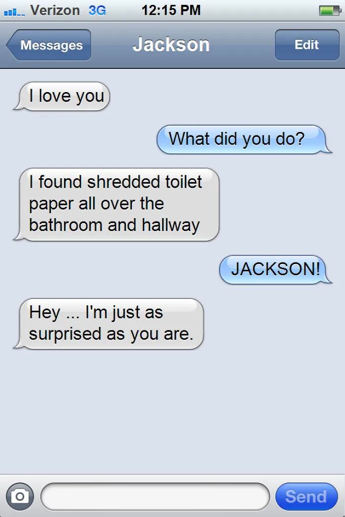 What If Cats Could Text? Woman Shares Conversations With Her 3 Rescued Cats