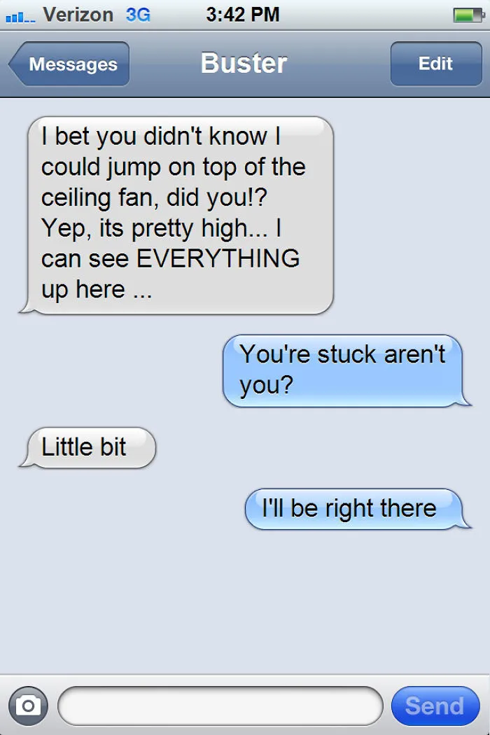 What If Cats Could Text? Woman Shares Conversations With Her 3 Rescued Cats