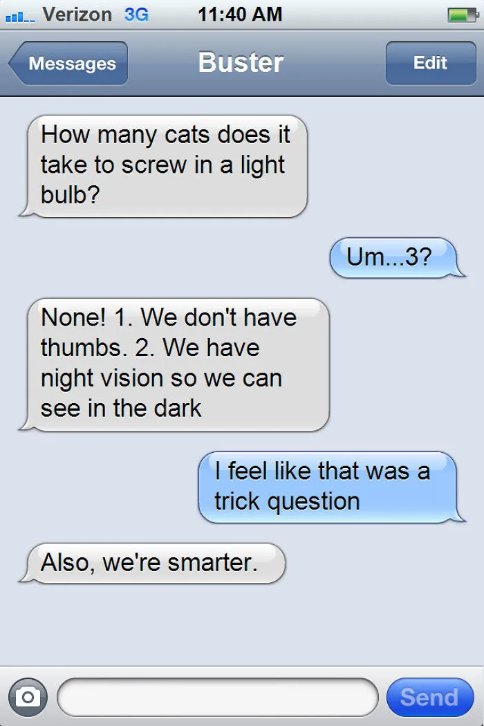 What If Cats Could Text? Woman Shares Conversations With Her 3 Rescued Cats