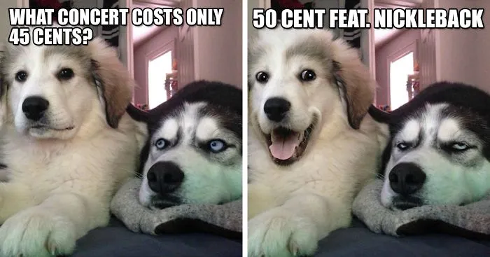 What Joke Did This Comedy Genius Puppy Tell?