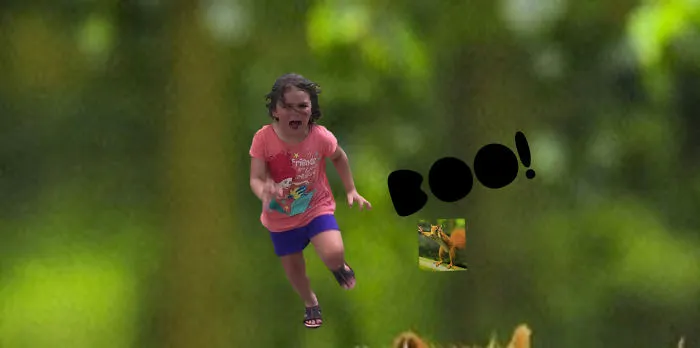 Boo