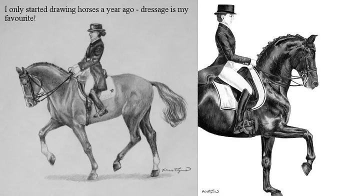 Horse Development