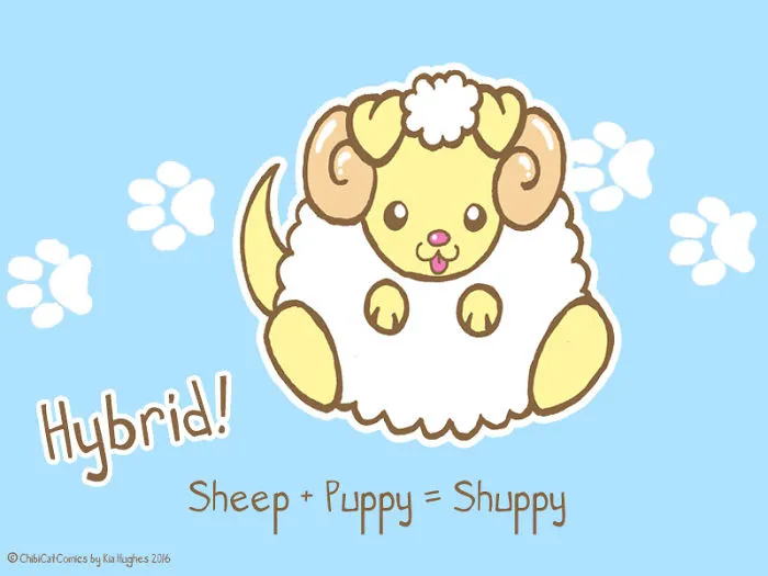 Cute + Awesome = Shuppy