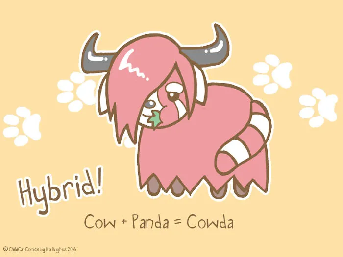 Cute + Awesome = Cowda