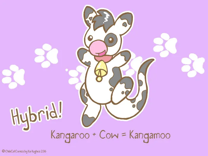 Cute + Awesome = Kangamoo
