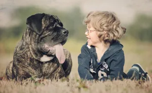 Kuba And Buba: A Story Of A Boy And His Adopted Dog