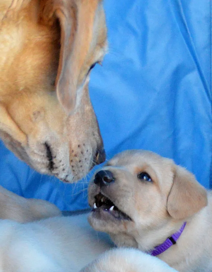 Mom And Son.