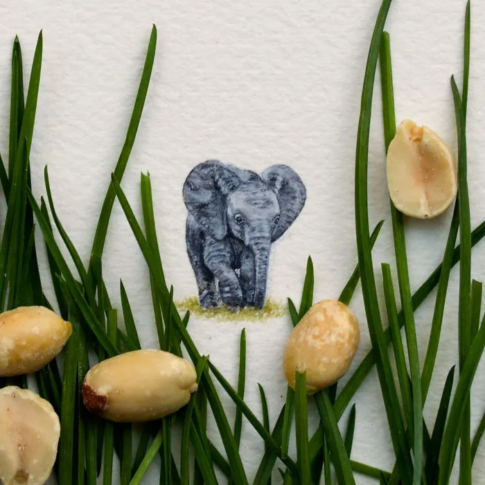 Elephant. One Of The First Animals I Had Ever Attempted Painting