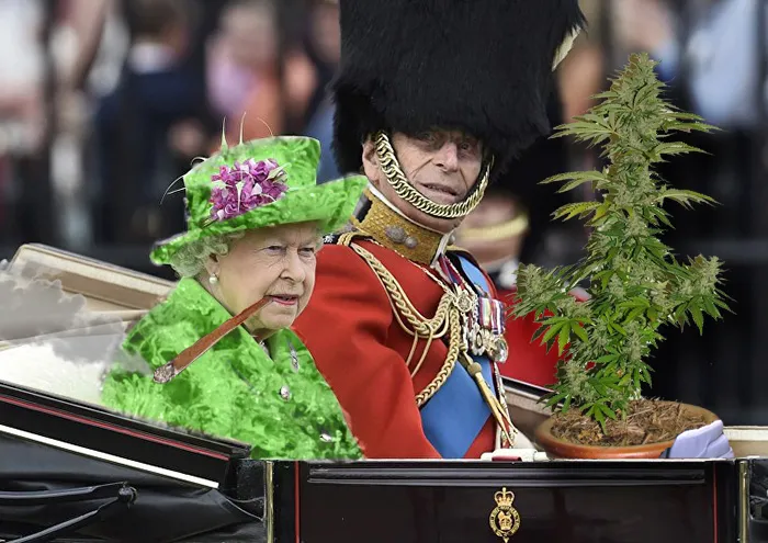 Green Queen 2016