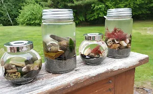 How To Combine Your Love Of Mermaids, Sea Life, And The Ocean All In A Single Jar
