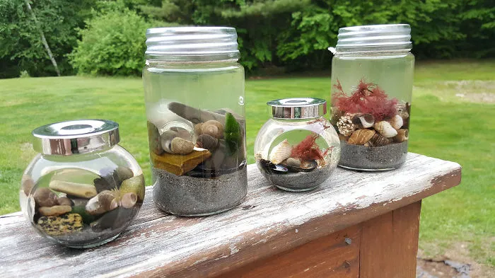 How To Combine Your Love Of Mermaids, Sea Life, And The Ocean All In A Single Jar