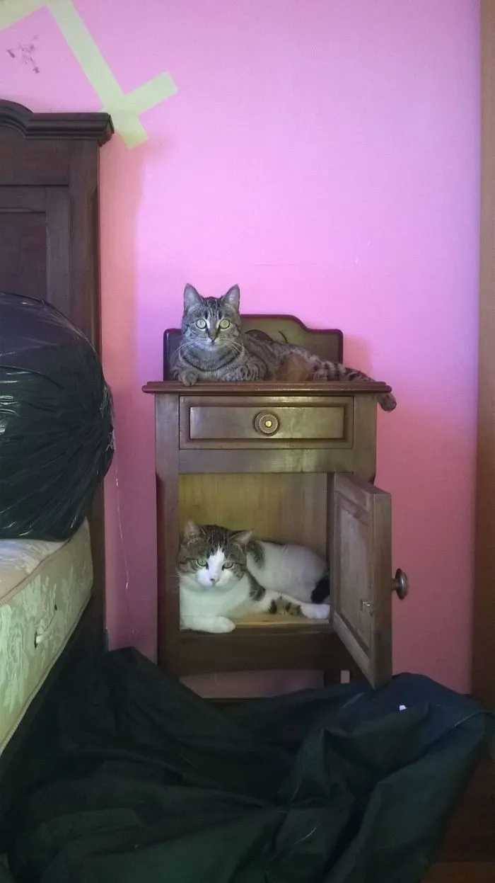 Lolita & Spartacus