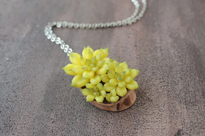 My Succulent Mania Grew Into Succulent Jewelry Business